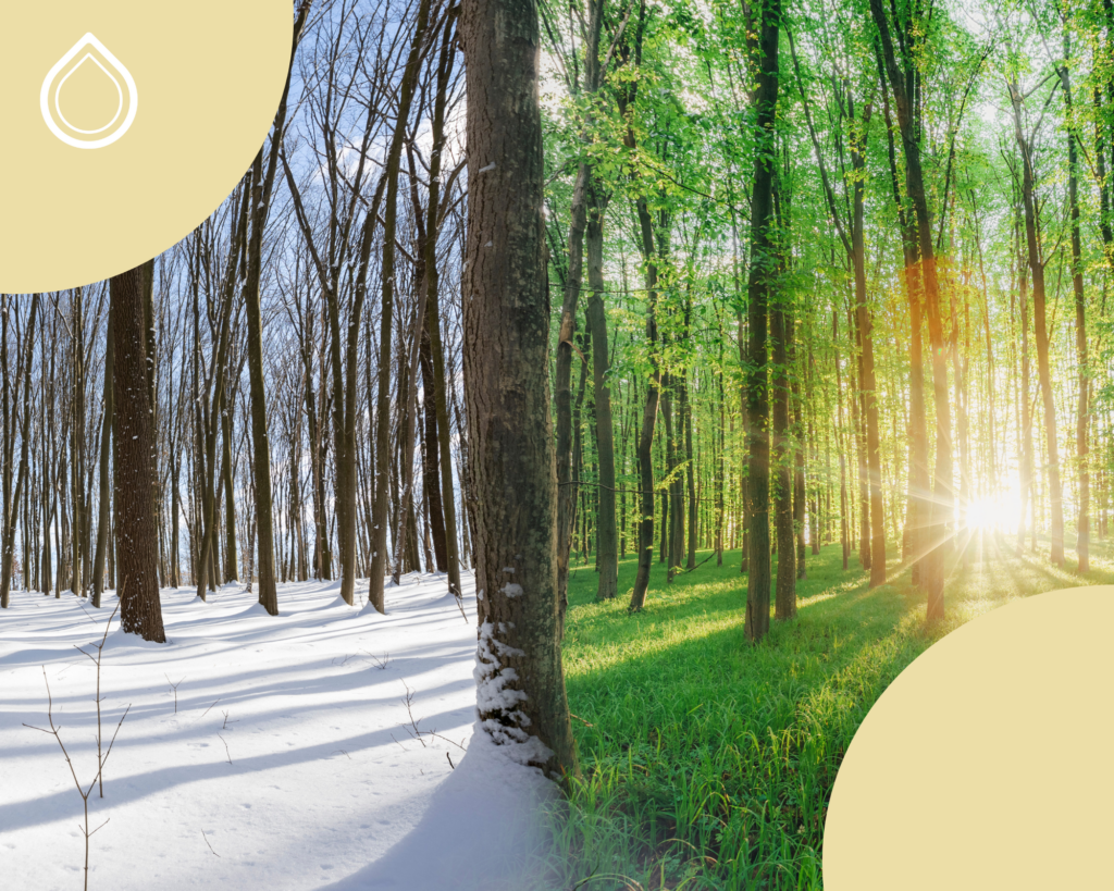 Cosa Fare alla Fine dell’Inverno con la Caldaia?