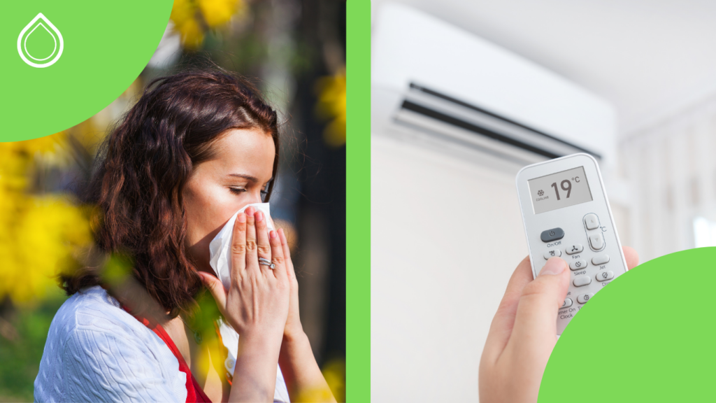 Allergie primaverili e aria in casa: i 5 errori che le peggiorano (e come evitarli)